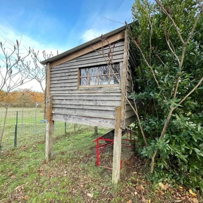 La Fermette Aux Lamas Savigny-Lévescault Exteriör bild